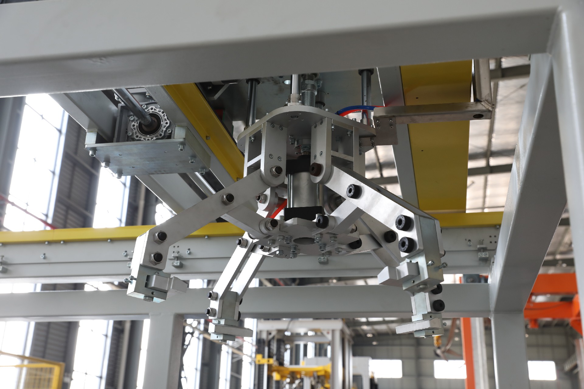 1753950858209030.jpg 441A0865.JPG